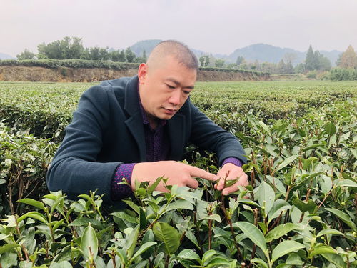 秀山农业企业家刘国军获聘西南大学研究生指导教师