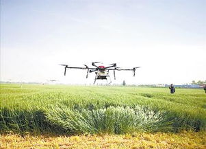 加强品种技术研发 河北农业主推技术到位率达95 以上